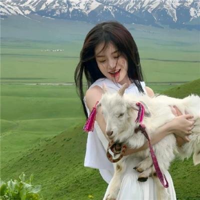 篷车队大绑架